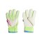 adidas Predator Celestial Victory Match FS Torwarthandschuhe Weiss - weiss