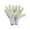 adidas Predator Pro Hybrid Celestial Victory Torwarthandschuhe Weiss - weiss