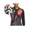 adidas Predator Pro Promo Torwarthandschuhe Orange - orange