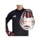 adidas Predator Pro Torwarthandschuhe Schwarz - schwarz