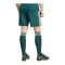 adidas Real Madrid Short Away 2026/2027 Grün - gruen