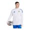 adidas Real Madrid Tiro25 Competition Training Sweatshirt 2025/2026 Weiß - weiss