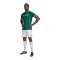 adidas RSA Südafrika Trikot Away WM 2026 Grün - gruen