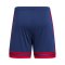 adidas Squadra 25 Short Blau - blau