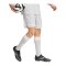 adidas Squadra 25 Short Grau - grau