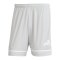 adidas Squadra 25 Short Grau - grau