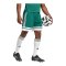 adidas Squadra 25 Short Grün - gruen