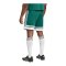 adidas Squadra 25 Short Grün - gruen