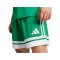 adidas Squadra 25 Short Grün - gruen