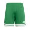 adidas Squadra 25 Short Grün - gruen