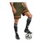 adidas Squadra 25 Short Grün - gruen