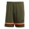 adidas Squadra 25 Short Grün - gruen
