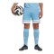 adidas Squadra 25 Short Kids Blau - blau
