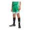 adidas Squadra 25 Short Kids Grün - gruen