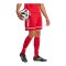 adidas Squadra 25 Short Rot - rot