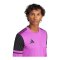 adidas Squadra 25 Torwarttrikot Rosa - rosa