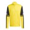 adidas Squadra 25 Trainingsjacke Gelb - gelb