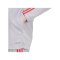 adidas Squadra 25 Trainingsjacke Grau - grau