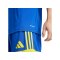 adidas Squadra 25 Trikot Blau - blau