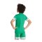 adidas Squadra 25 Trikot Damen Grün - gruen