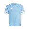 adidas Squadra 25 Trikot Kids Hellblau - blau