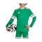adidas Squadra 25 Trikot Kids Grün - gruen