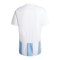 adidas Striped 24 Trikot Blau Weiss - blau