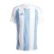 adidas Striped 24 Trikot Blau Weiss - blau