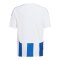adidas Striped 24 Trikot Kids Weiss Blau - weiss