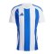 adidas Striped 24 Trikot Weiss Blau - weiss
