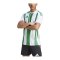 adidas Striped 24 Trikot Weiss Grün - weiss