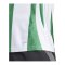 adidas Striped 24 Trikot Weiss Grün - weiss