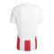 adidas Striped 24 Trikot Weiss Rot - weiss