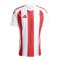 adidas Striped 24 Trikot Weiss Rot - weiss