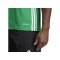 adidas Tabela 23 Trikot Grün Weiss - gruen