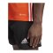 adidas Tabela 23 Trikot Orange Weiss - orange