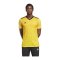 adidas Team Icon 23 Trikot Gold - gold