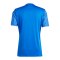 adidas Team Icon 25 Trikot Hellblau - blau