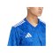 adidas Team Icon 25 Trikot Hellblau - blau