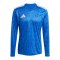 adidas Team Icon 25 Trikot Blau - blau