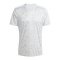 adidas Team Icon 25 Trikot Grau - grau