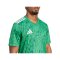 adidas Team Icon 25 Trikot Grün - gruen