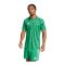 adidas Team Icon 25 Trikot Grün - gruen