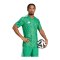 adidas Team Icon 25 Trikot Grün - gruen