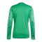 adidas Team Icon 25 Trikot Grün - gruen