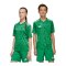 adidas Team Icon 25 Trikot Kids Grün - gruen