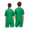 adidas Team Icon 25 Trikot Kids Grün - gruen
