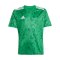 adidas Team Icon 25 Trikot Kids Grün - gruen
