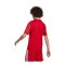 adidas Team Icon 25 Trikot Kids Rot - rot