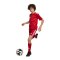 adidas Team Icon 25 Trikot Kids Rot - rot